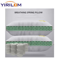 China customized microfiber down  pocket spring pillow